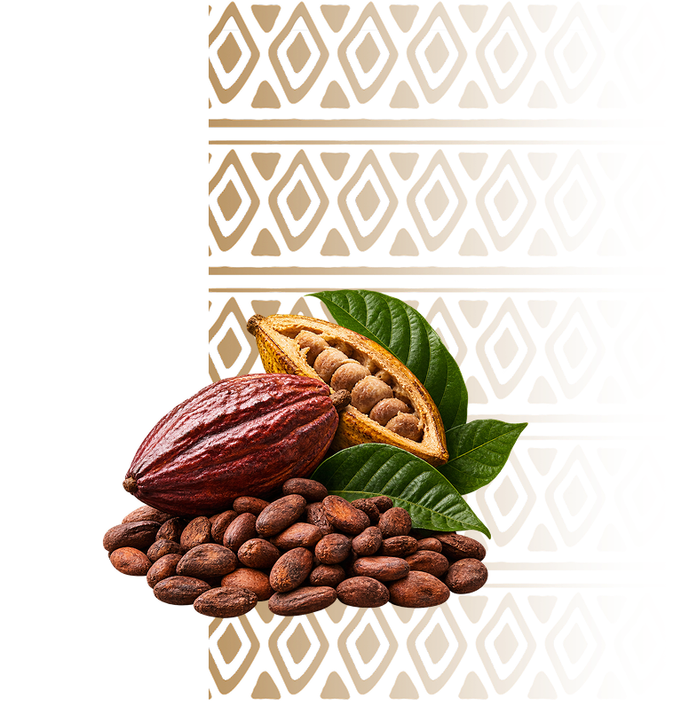 Cacao